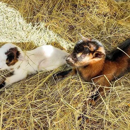 Stunning In Eyraud-crempse-maurens * La Ressegue