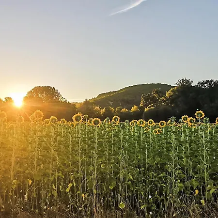 بيت للعطل Stunning In Eyraud-crempse-maurens *