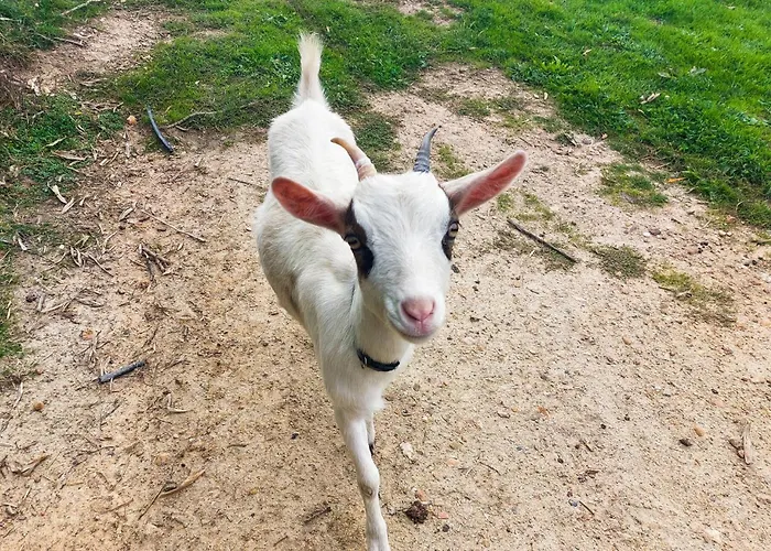 Stunning In Eyraud-crempse-maurens Prázdninový dům La Ressegue