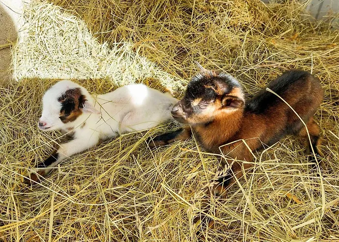 Stunning In Eyraud-crempse-maurens * La Ressegue