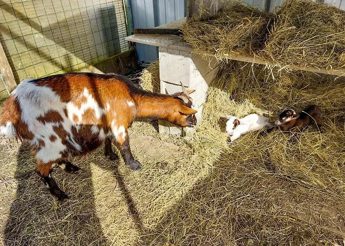 Stunning In Eyraud-crempse-maurens *