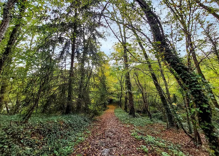 Stunning In Eyraud-crempse-maurens